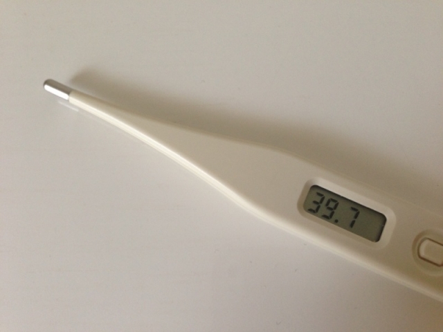 猫の体温の測り方|猫の平熱、発熱時の対策は