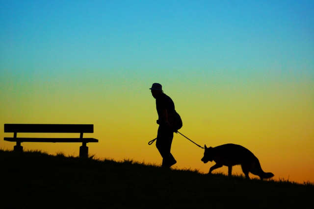 散歩する犬と人